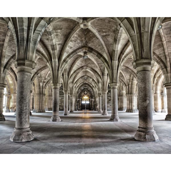 Wall Rogues Gothic Arches Wall Mural