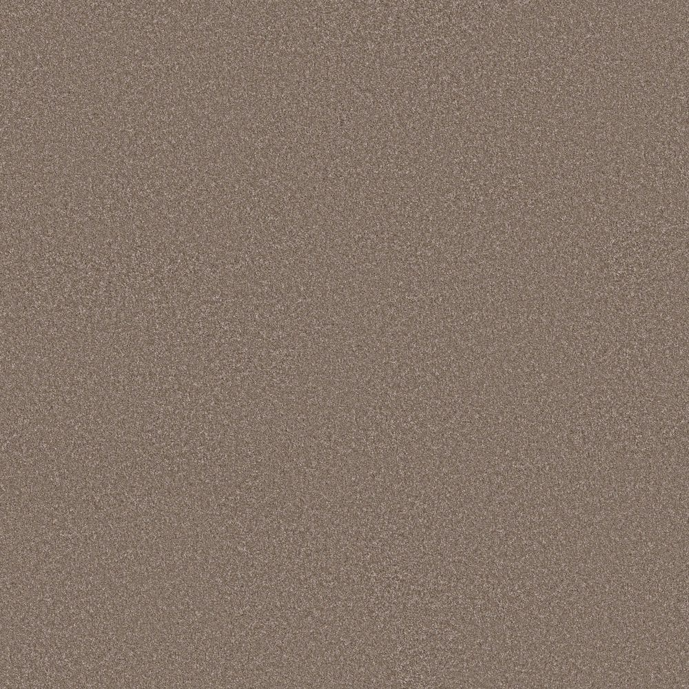 8 in. x 8 in. Texture Carpet Sample - Snug Sweets III - Color Mushroom price history on PriceWatchPro