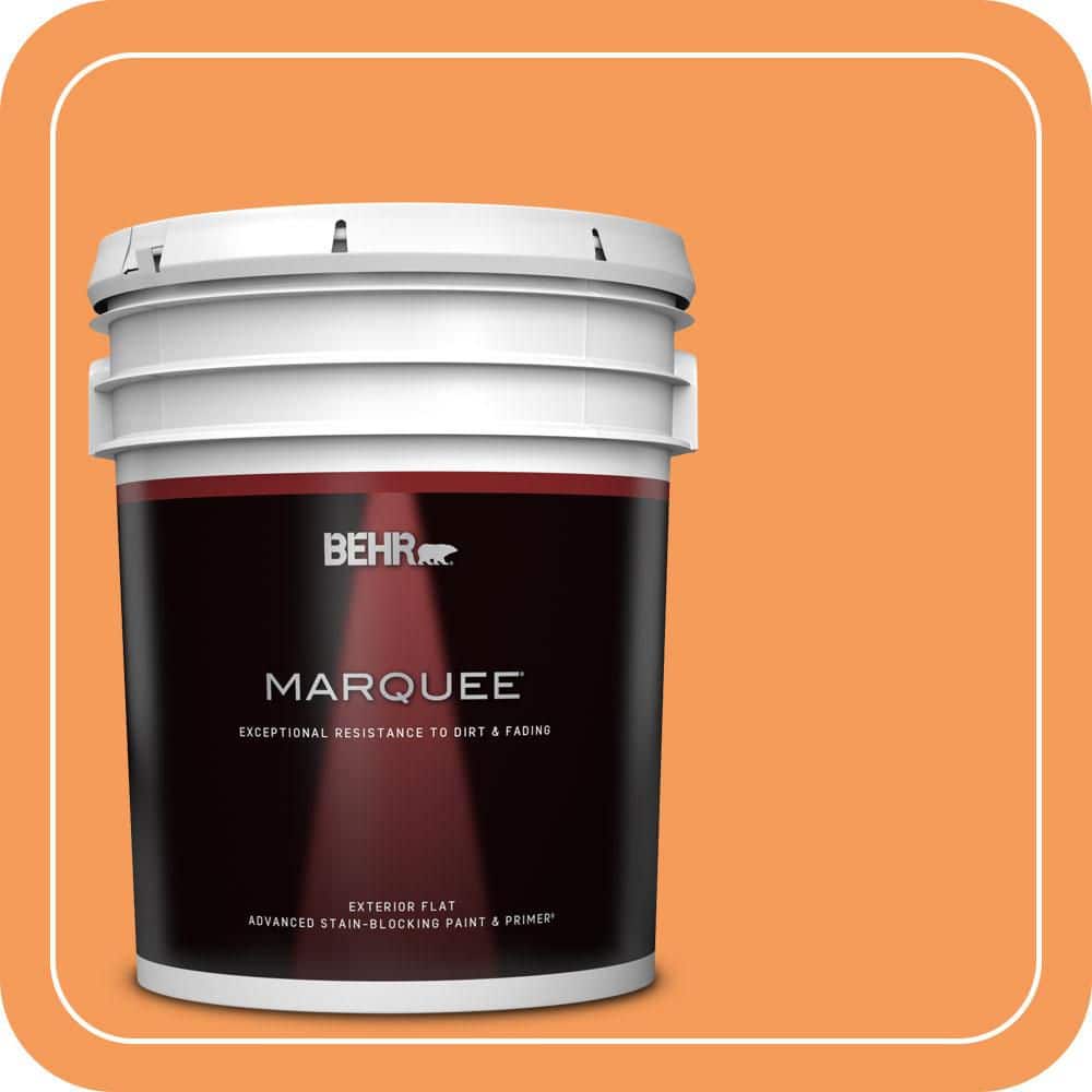 5 gal. #260B-6 Blaze Orange Flat Exterior Paint & Primer product image for price tracking