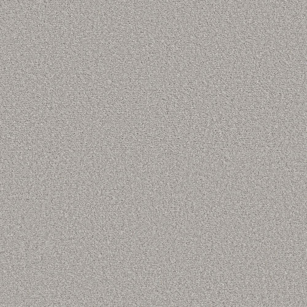 home-decorators-collection-8-in-x-8-in-texture-carpet-sample