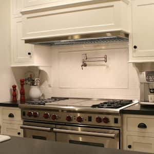 42 in. 1200 CFM Ducted Insert Range Hood in Stainless Steel with Dimmable LED Lights 4-Speeds