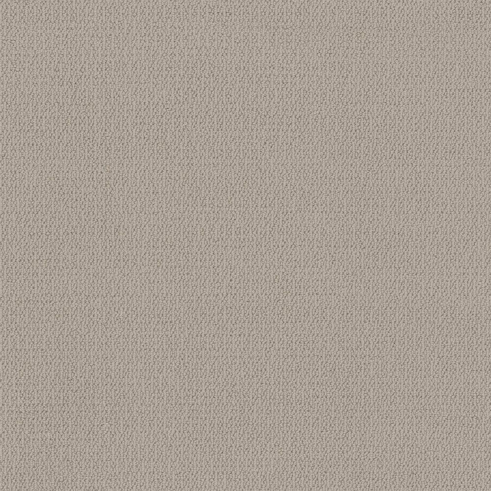 8 in. x 8 in. Loop Carpet Sample - Alluring Abodes - Color Loyal Beige price history on PriceWatchPro