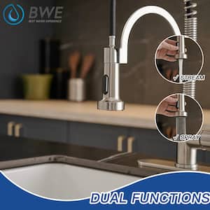 Single-Handle Pull-Down Sprayer 2 Spray High Arc Kitchen Faucet in Brushed Nickel