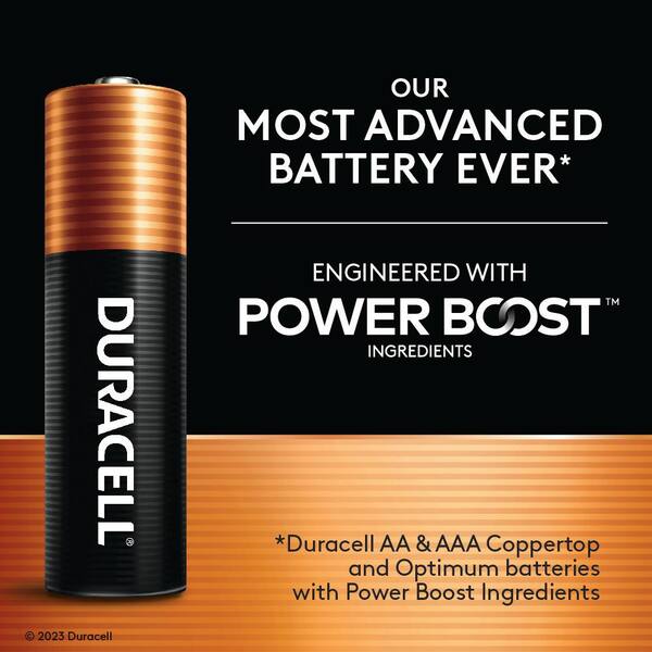 Duracell Coppertop Alkaline AA Batteries (4-Pack), Double A Batteries  MN1500B4Z-03561 - The Home Depot