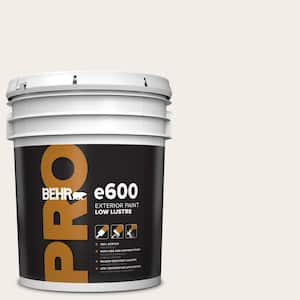 5 gal. #RD-W10 New House White Low Luster Exterior Paint