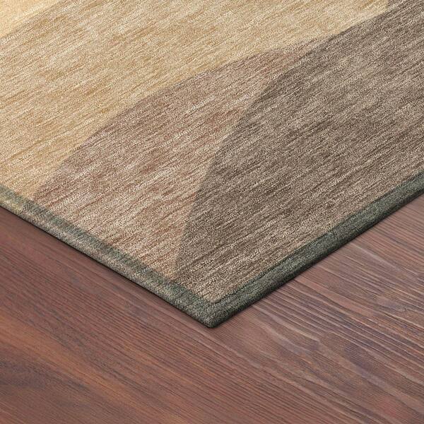 Chantille Machine Washable Indoor/Outdoor Abstract ACN2378 Coral 10 ft. x 14 ft. Area Rug