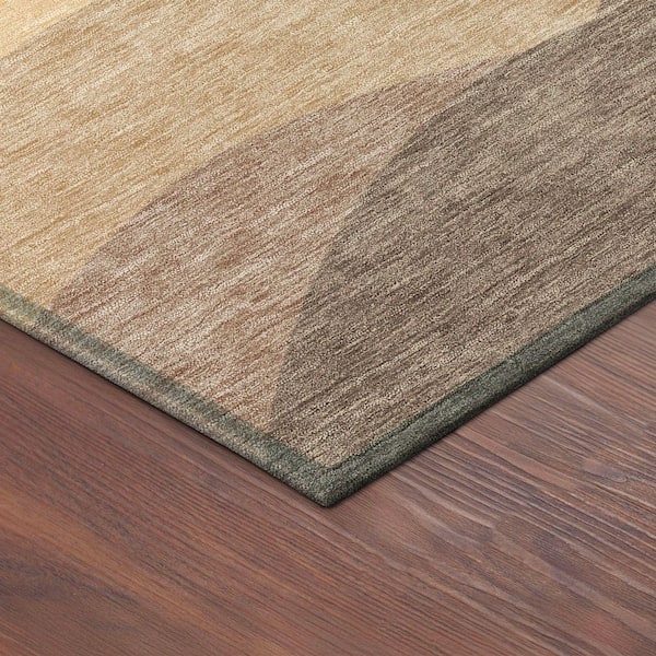 Chantille Machine Washable Indoor/Outdoor Abstract ACN2378 Coral 8 ft. x 10 ft. Area Rug