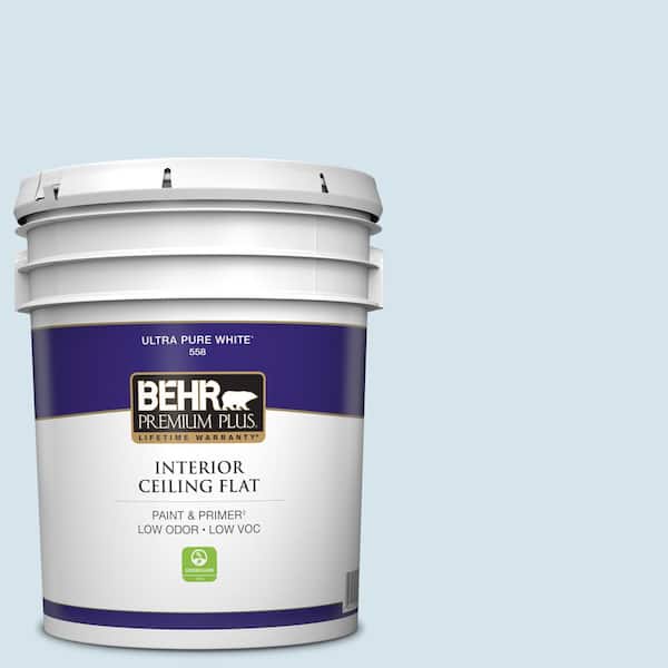 5 gal. #560C-1 Rain Water Ceiling Flat Interior Paint