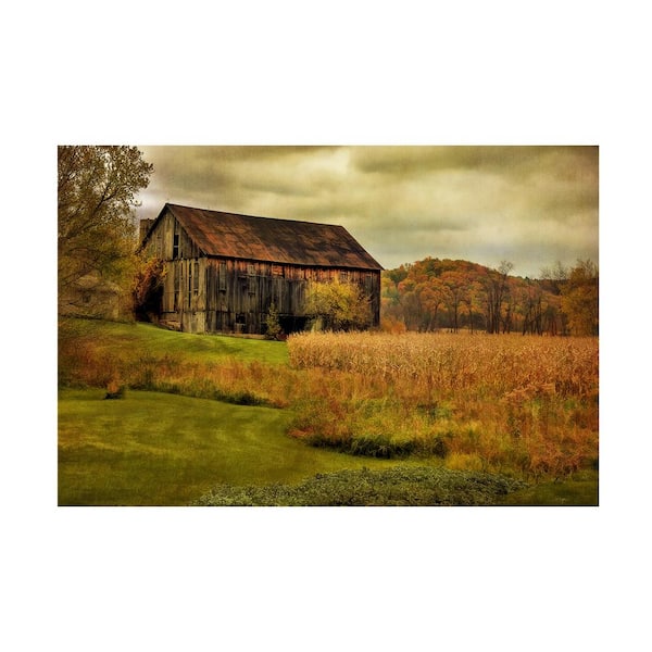 Trademark Fine Art Old Barn on Rainy Day by Lois Bryan Hidden Frame Country Wall Art 24 in. x 16 in. LBr0111-C1624GG - The Depot
