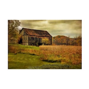 Old Barn on Stormy Afternoon by Lois Bryan Print Hidden Floater Frame Country Wall Art 32 in. x 22 in.