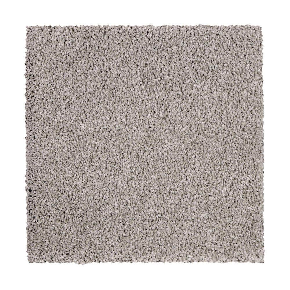 8 in. x 8 in. Texture Carpet Sample - Gazelle II -Color Solitude price history on PriceWatchPro
