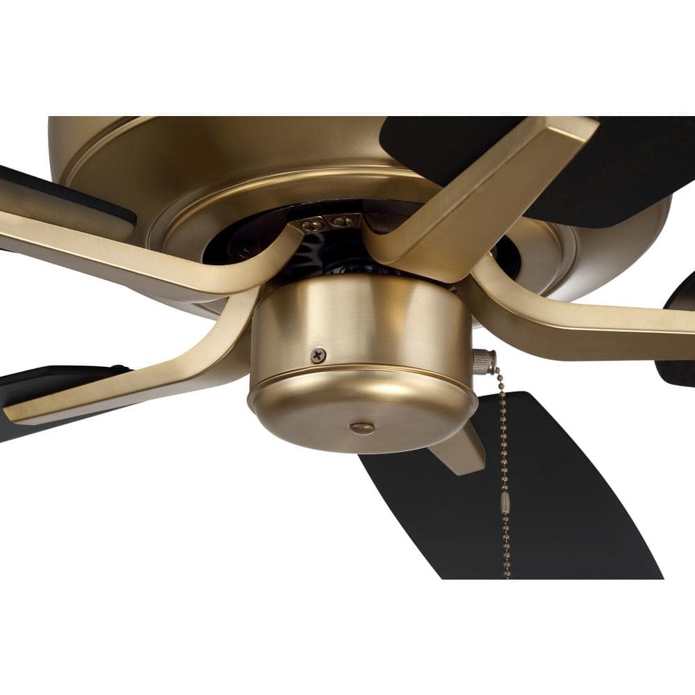 Satin Brass 52" Ceiling Fan with Black Walnut Blades