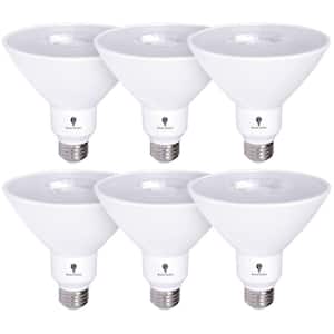 170-Watt Equivalent PAR38 Flood Indoor/Outdoor LED Light Bulb in Warm White (6-Pack)