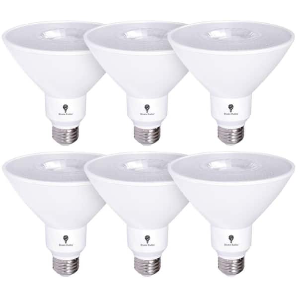 BLUEX BULBS 170-Watt Equivalent PAR38 Flood Indoor/Outdoor LED Light Bulb in Warm White (6-Pack)