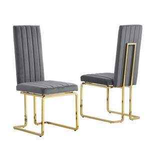 Jana Dark Gray Velvet Fabric Vertical Line Design Gold Chrome Iron Side Chair (Set of 2)