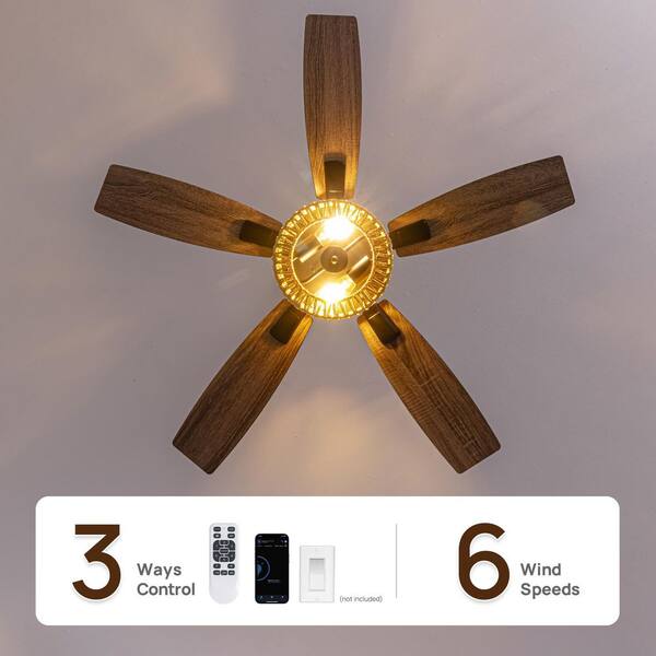 Ecogleam 46 in. Indoor Boho Caged Black Standard Ceiling Fans with