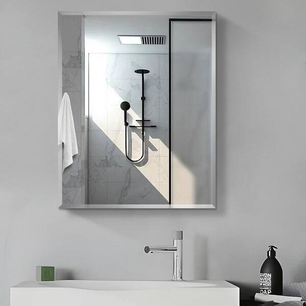 Xspracer Victoria 24 in. W x 30 in. H Large Rectangular Silver Aluminum Recessed/Surface Mount Medicine Cabinet with Mirror