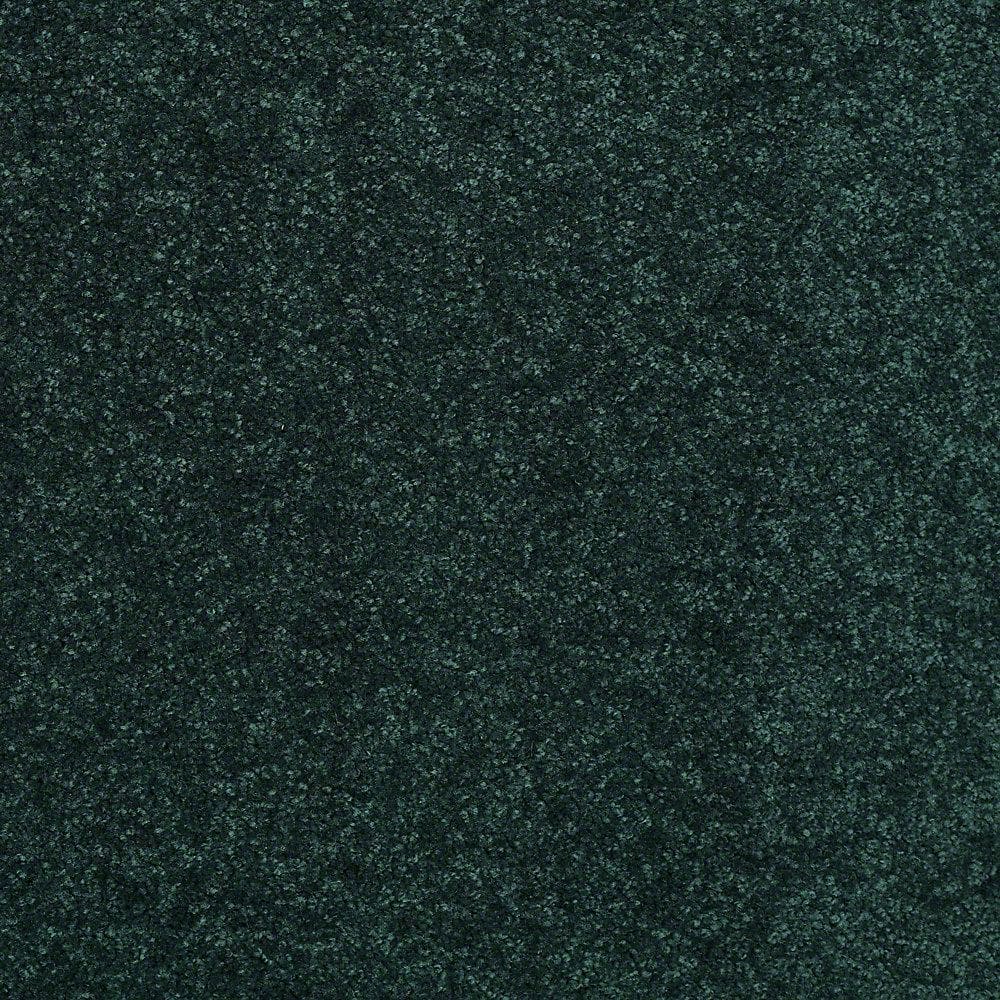 8 in. x 8 in. Texture Carpet Sample - Watercolors I - Color Grass price history on PriceWatchPro