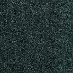 8 in. x 8 in. Texture Carpet Sample - Watercolors II - Color Grass