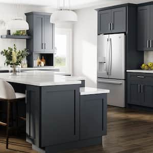 Newport Deep Onyx Plywood Shaker Assembled Sink Base Kitchen Cabinet Soft Close 36 in W x 24 in D x 34.5 in H
