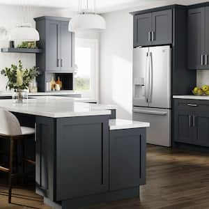 Newport Deep Onyx Plywood Shaker Assembled Sink Base Kitchen Cabinet Soft Close 27 in W x 24 in D x 34.5 in H