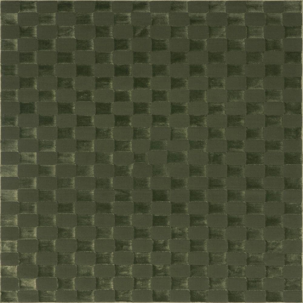 Alaiya Checkered Machine Washable Green 3 ft. x 5 ft. Modern Area Rug price history on PriceWatchPro
