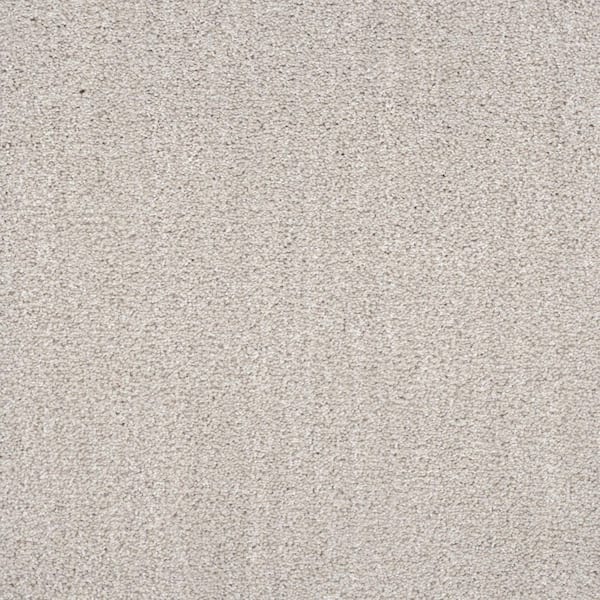 Lifeproof 8 in. x 8 in. Texture Carpet Sample - Fluffy Expectations - Color Gesso