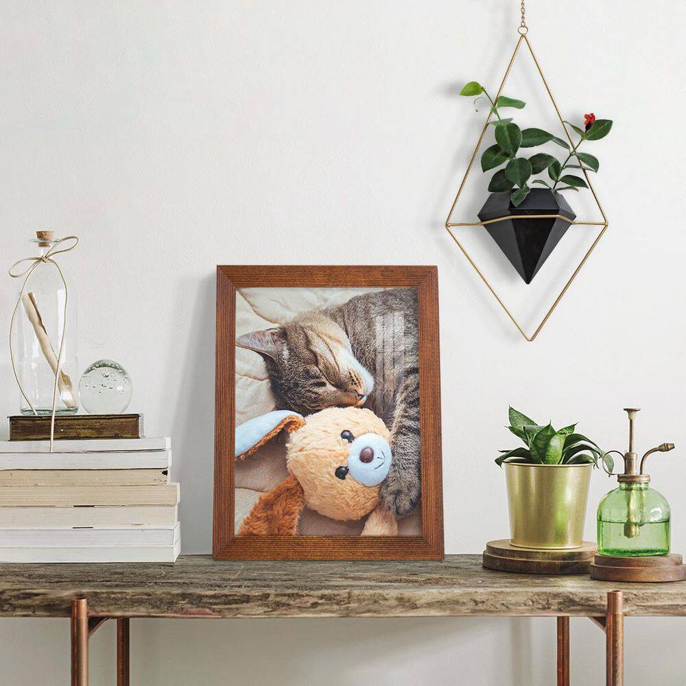 Walnut Matte Finish 8x10 Wooden Picture Frame Set