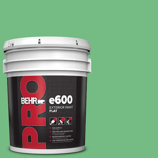 BEHR PRO 5 gal. #P400-5 Winter Shamrock Flat Exterior Paint