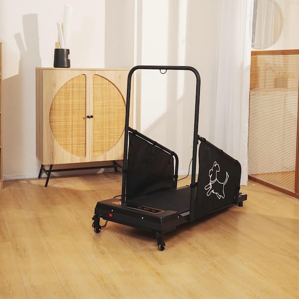 24 in. W x 50 in. L x 20 in. H Black Metal Dog Treadmill for