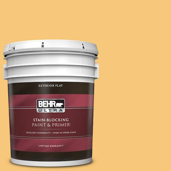 BEHR ULTRA 5 gal. #T14-19 Sunday Afternoon Flat Exterior Paint & Primer