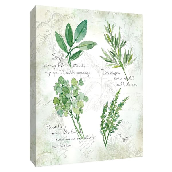PTM Images 12 in. x 10 in. ''Fresh Herbs II'' Canvas Wall Art