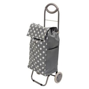 2-Wheel Foldable Rolling Shopping Cart Walker Rollator with Detachable Bag