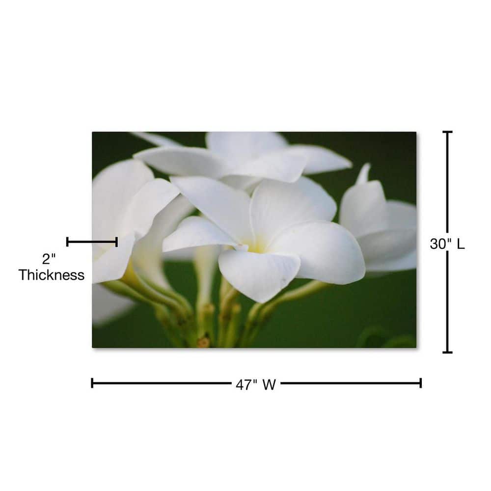 Large White Flower Canvas Art on Green Background