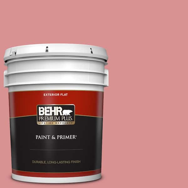 BEHR PREMIUM PLUS 5 gal. Home Decorators Collection #HDC-CT-11 La Vie En Rose Flat Exterior Paint & Primer