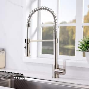 Single-Handle Pull-Down Sprayer Kitchen Faucet with 2-Function Sprayhead in Brushed Nickel