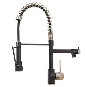 Single Hole Single Handle Pull Down Sprayer Kitchen Faucet, Modern Kitchen Sink Faucet in Matte Black&Brushed Nickel