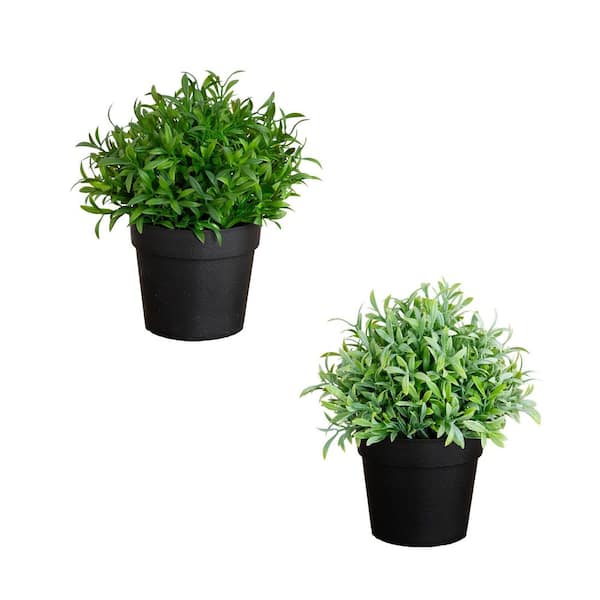6 in. Artificial Grass Plant in Black Pot - (Set of 2)