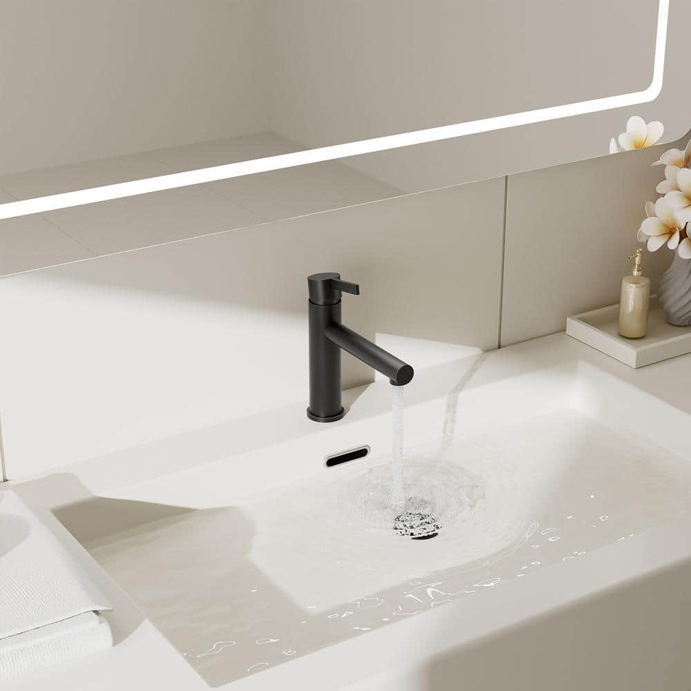 Matte Black Single Handle Bathroom Faucet with Drain Assembly