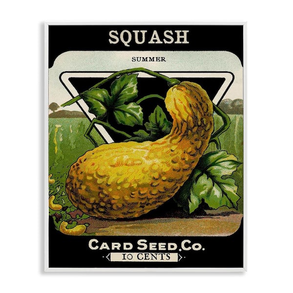 Stupell Industries Vintage Garden Squash by Lil' Rue White Framed Food Giclee Art Print 20 in. x 16 in.