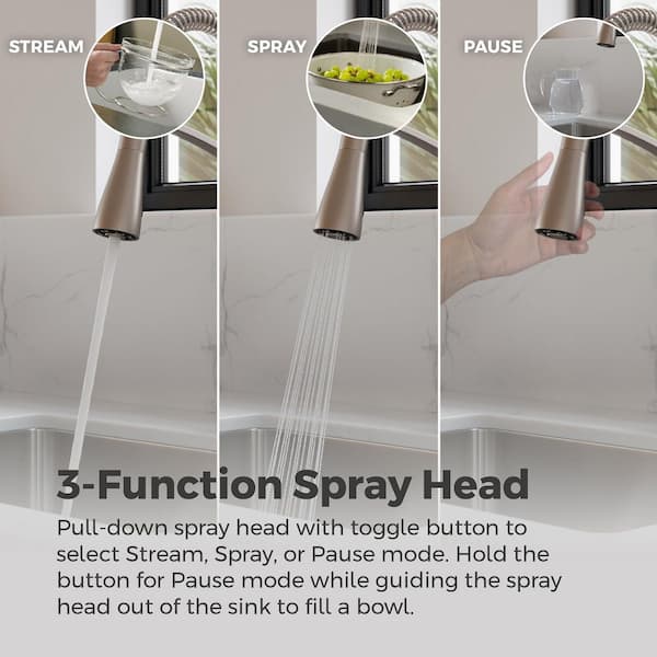 Pfister Kwan Single-Handle Culinary Pull Down Sprayer Kitchen