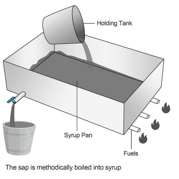 Maple syrup economy cooking pans, hobby open or divided pans