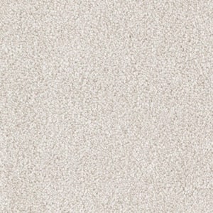 8 in. x 8 in. Texture Carpet Sample - Silver Mane I -Color Quiet Taupe