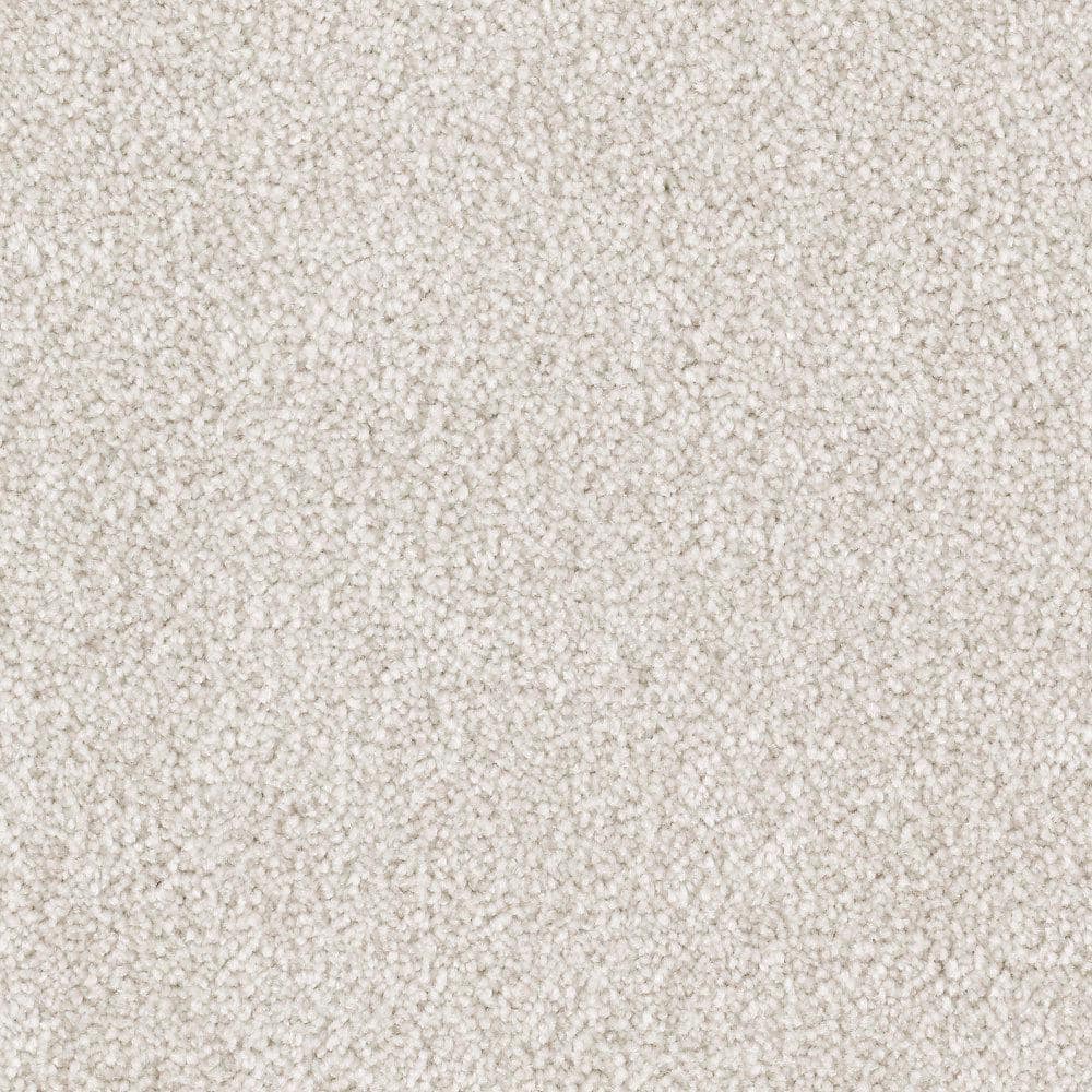 8 in. x 8 in. Texture Carpet Sample - Silver Mane II -Color Quiet Taupe price history on PriceWatchPro