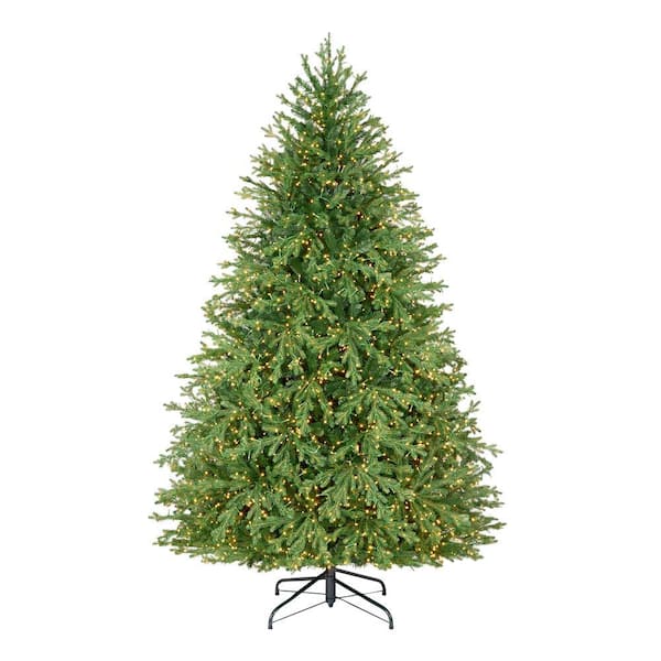Mayfield Balsam Home Depot