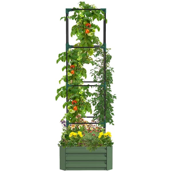 Outsunny Raised Garden Bed 24 in. x 24 in. x 11.75 in. Galvanized Steel Planter with Tomato Cage Open Bottom Climbing Vines Green