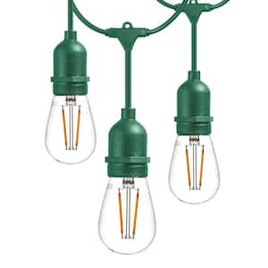 15-Light 48 ft Outdoor Plug-In LED Edison String Light with 16 1-Watt E26 S14 Filament Plastic Light Bulbs in Green Cord