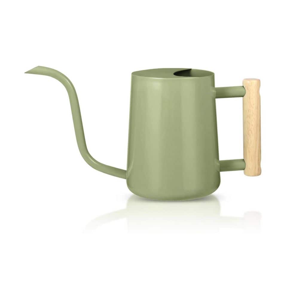 0.27 gal. Sage Green Stainless Steel Watering Can Indoor Decorative Long Spout Spill-Proof Wooden Handle 1 Piece price history on PriceWatchPro