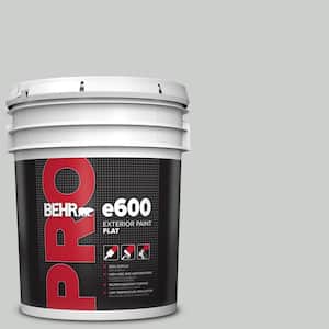 5 gal. #N460-2 Planetary Silver Flat Exterior Paint