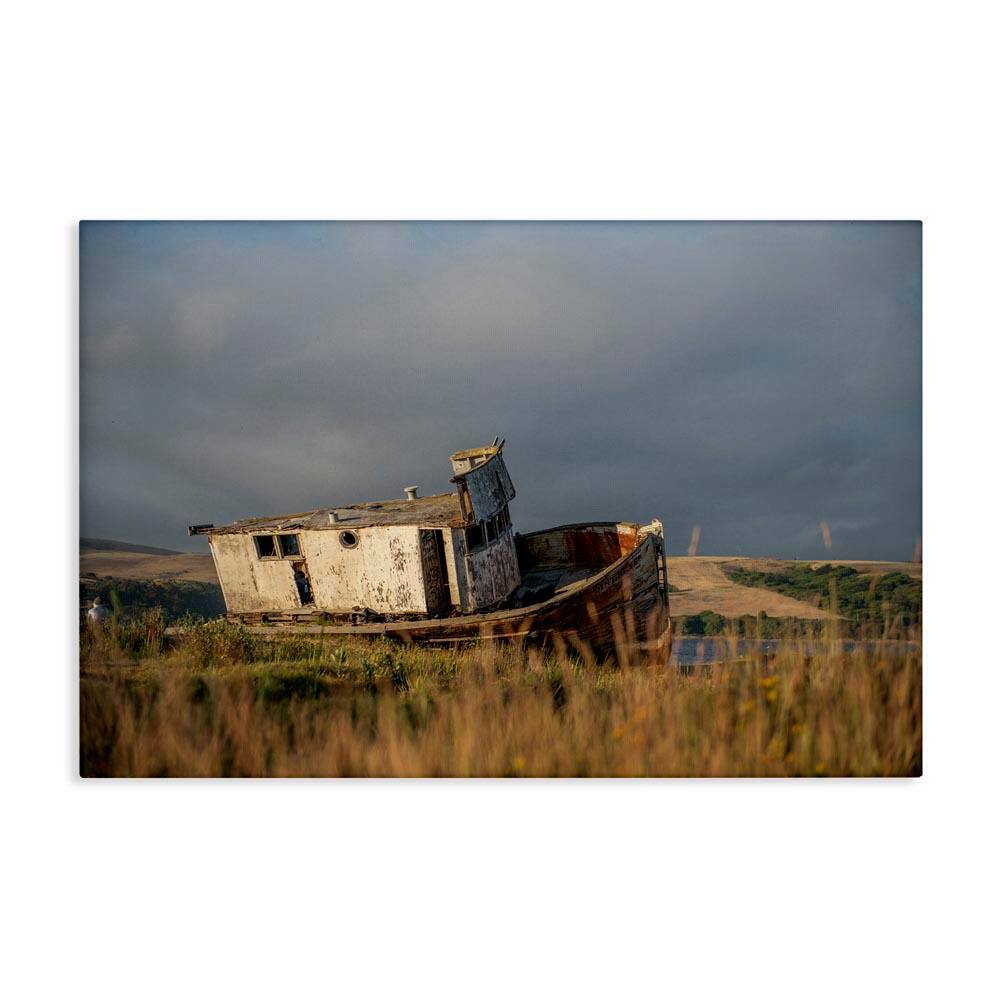 Old Shipwreck on Beach by Crystal Lynn Collins Unframed Nature Graphic Art Print 16 in. x 24 in. price history on PriceWatchPro